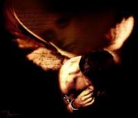 /album/obrazky-andele/a1347385-1-jpg/